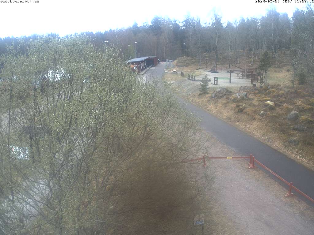 Livekamera från skidspåret, Högbo Bruk